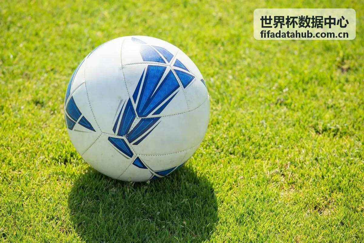 世界杯数据中心 - 球员内马尔数据卡
